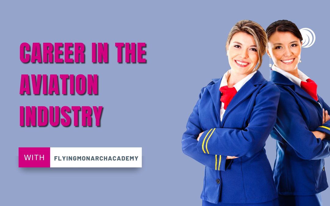 how to make career in the aviation industry.